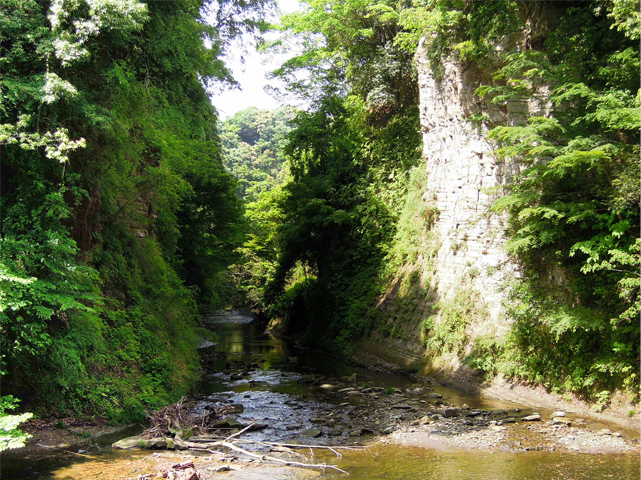 1456986_lm.jpg