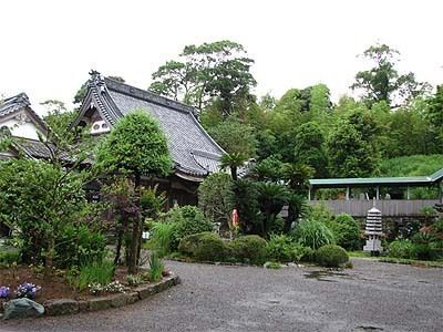 149_33446986_1large.jpg