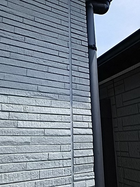 DSC_1277.JPG