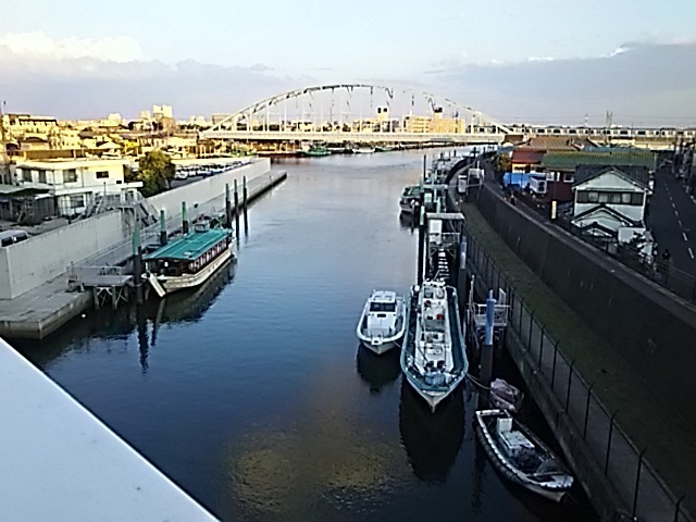 DSC_1441.JPG