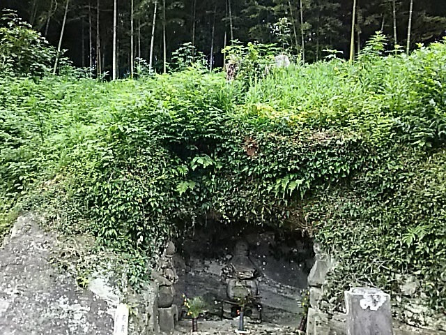 DSC_2357a.JPG