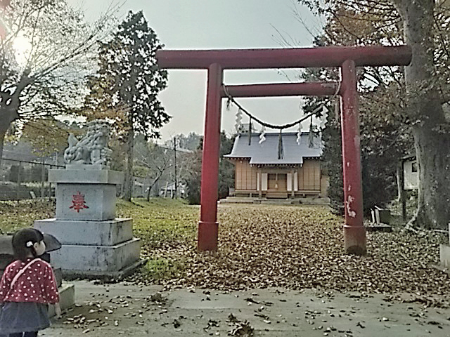 DSC_2640s.jpg