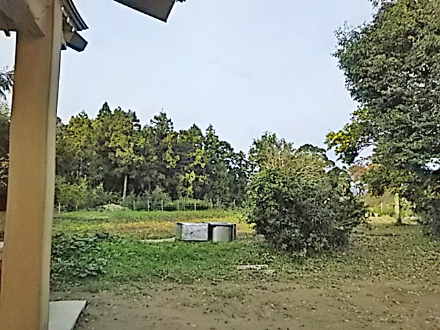 DSC_2643s.jpg