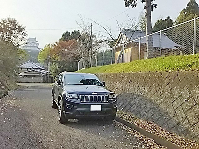 DSC_2647s.jpg
