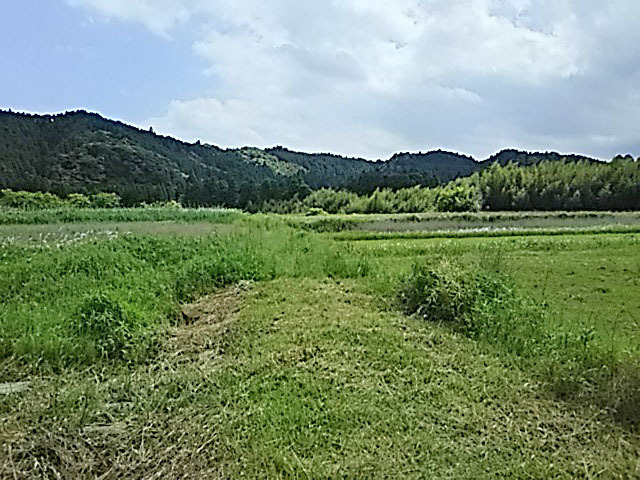 DSC_3957s.jpg