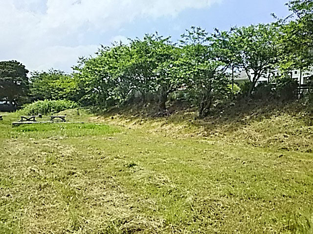DSC_3960s.jpg