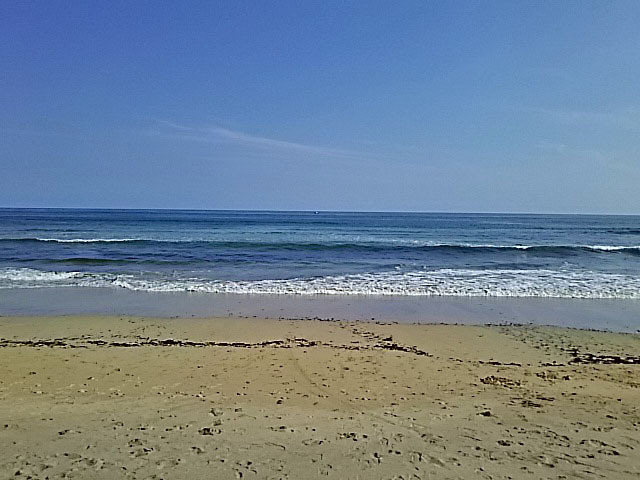 DSC_3983s.jpg