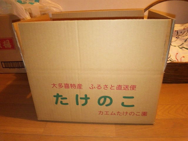 kaemu-takenoko1.jpg