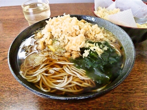 momoya-seif-tanuki2015.jpg