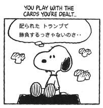 namaikina-inu.jpg