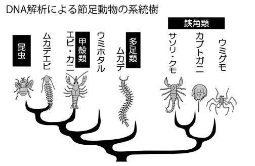 o0504032811997261263.jpg