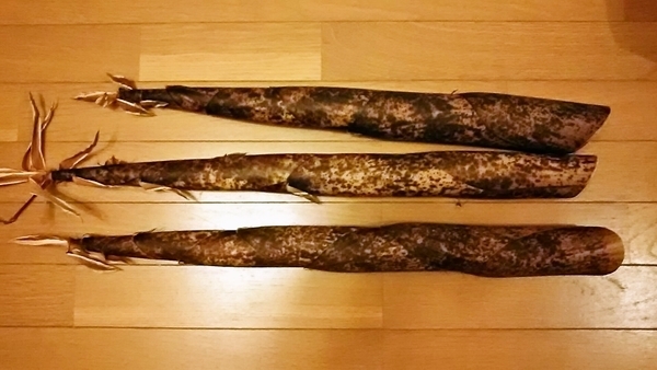 ootaki-madake4.jpg