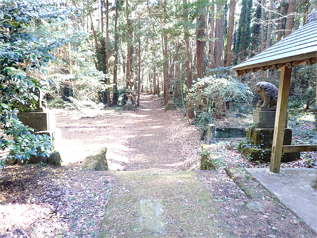 suwajinjya5.jpg