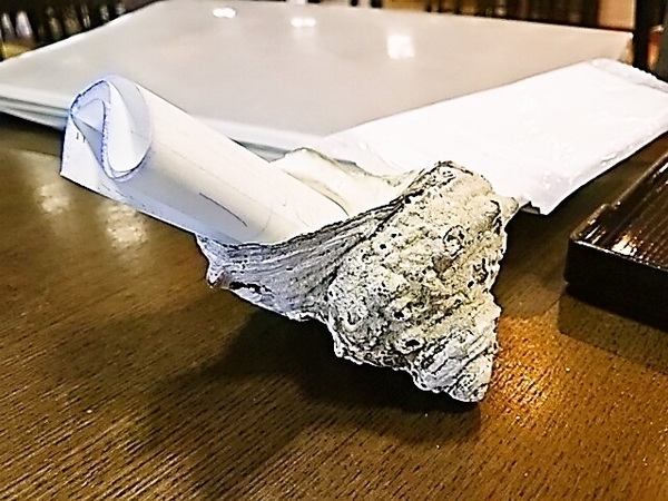 wadaura-tunonasisazae.jpg