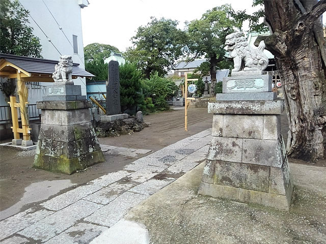 yoi-KIMG0813s.jpg